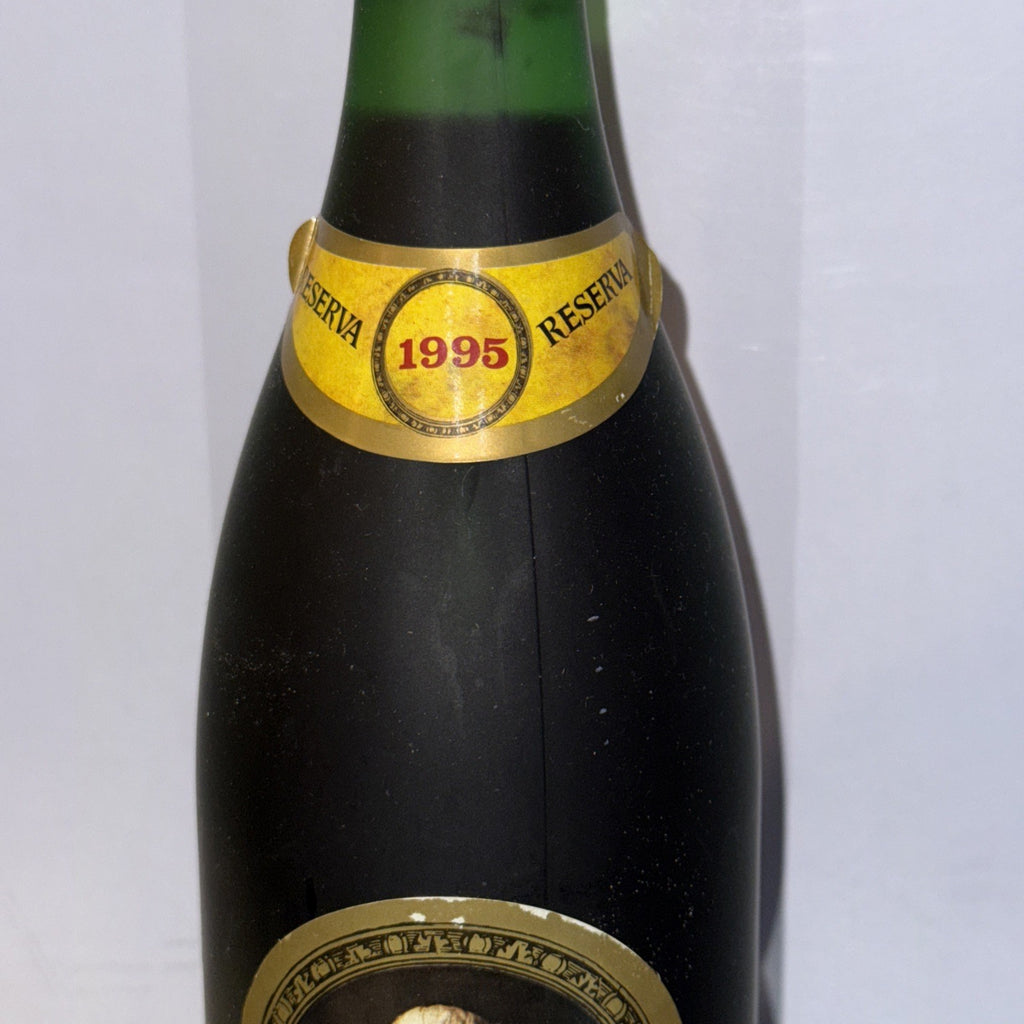 Faustino V Rioja 1995 Spanish Red Wine