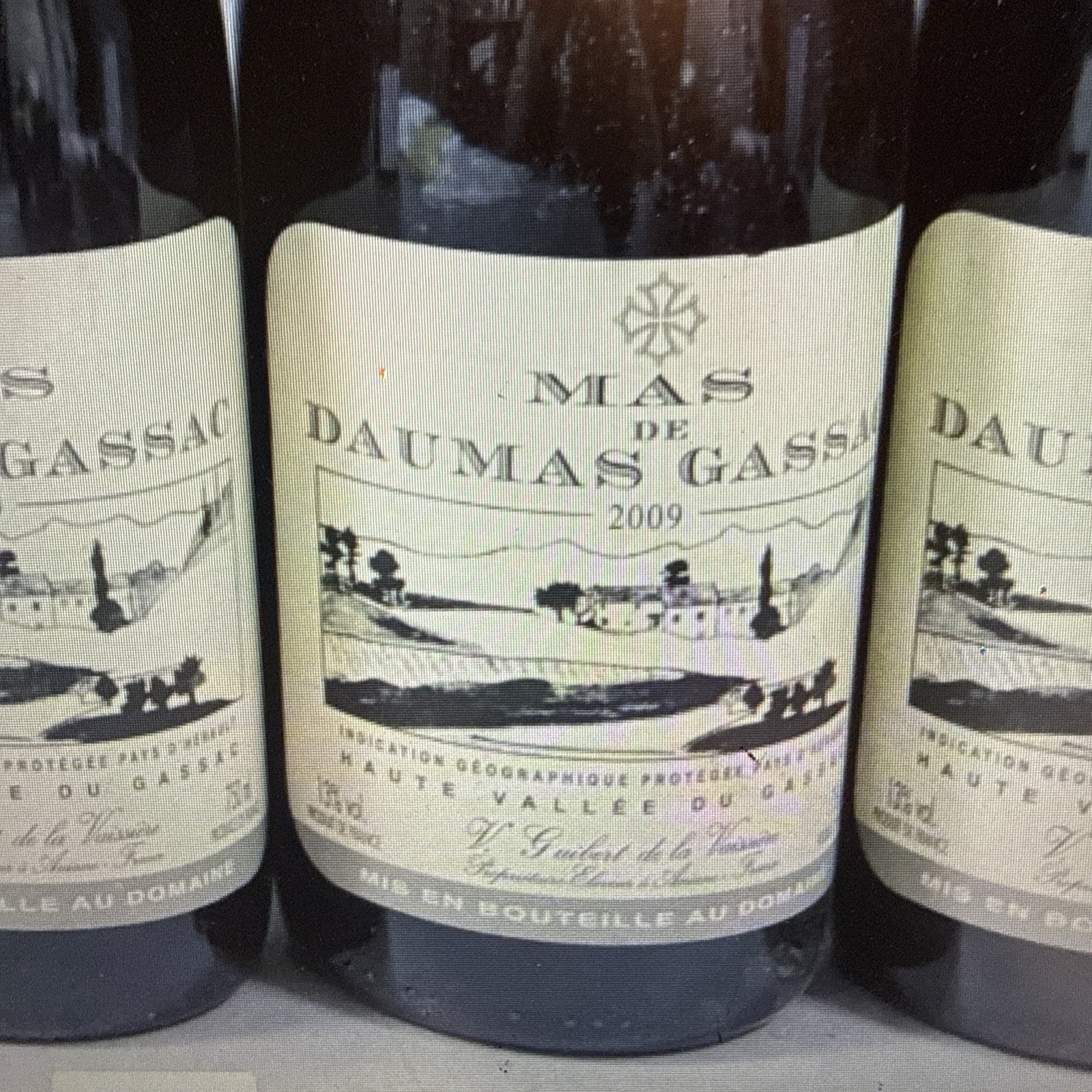 Mas De Daumas Gassac (herault) 2009 French Red Perfect Condition Cellar Stored