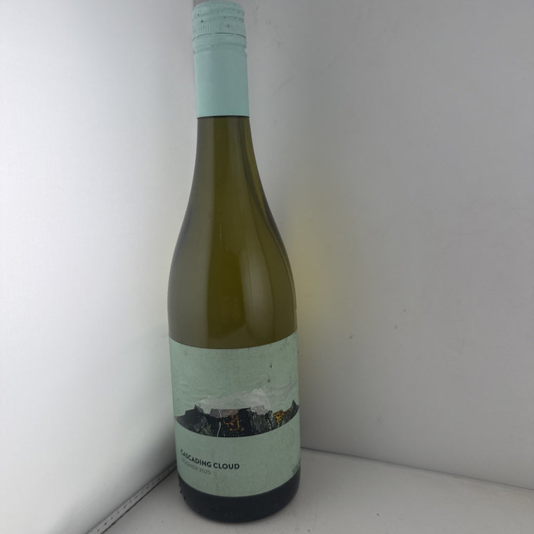 2024 Pinha Ribeiro Santo Dão DOC Portuguese White Wine 75cl