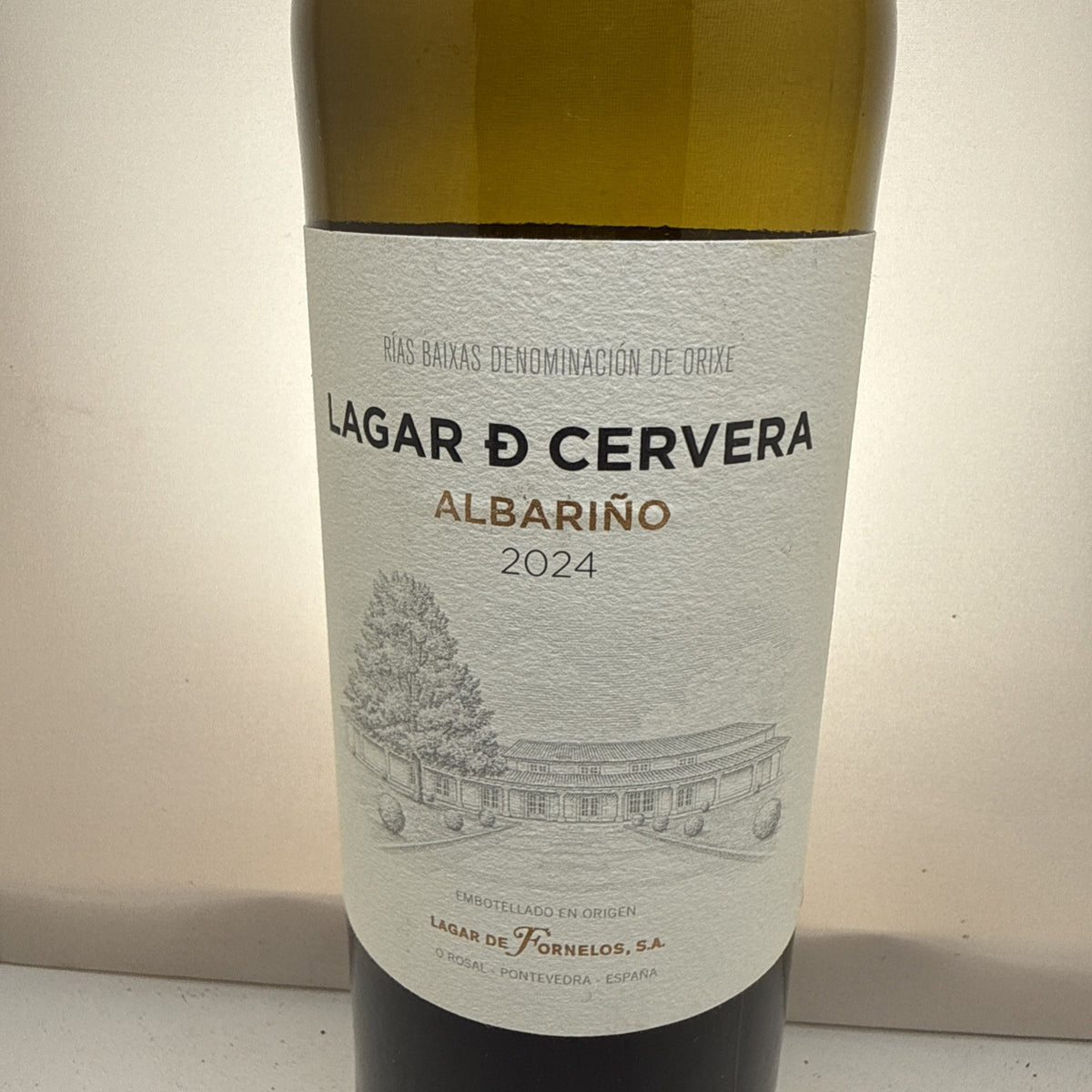 Galicia. Zesty citrus & sea mineral. Fresh 2024. Ideal with seafood.